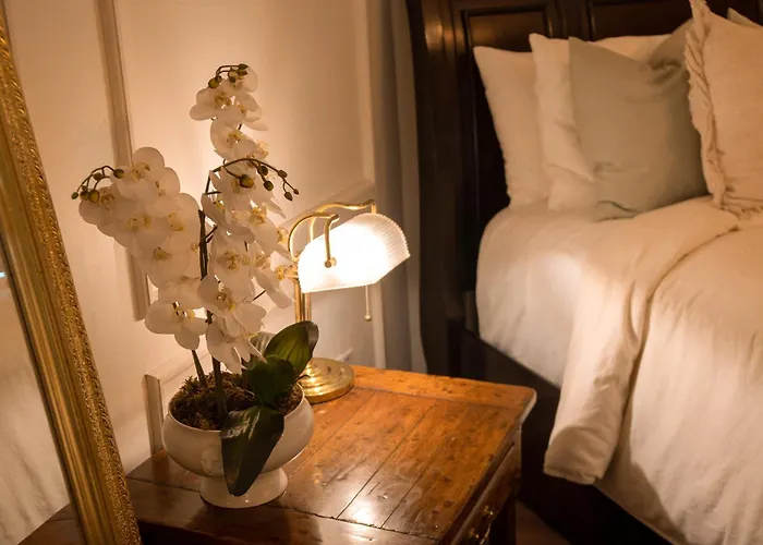 Mansión Papilio Bed and breakfast